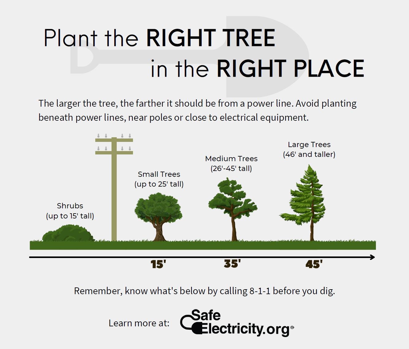 Plant Tree Safely