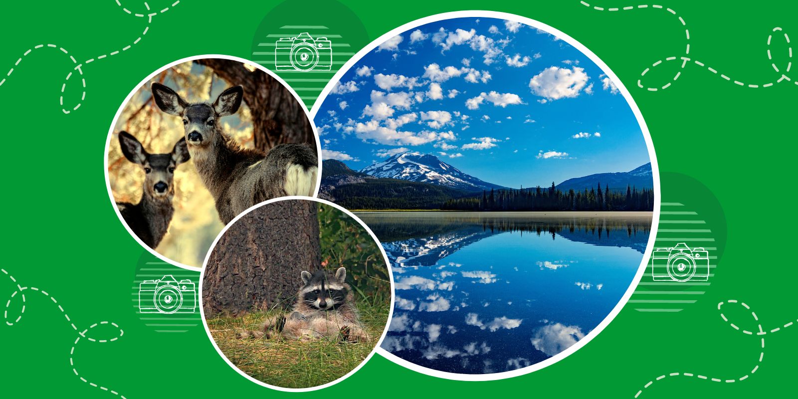 Calendar Contest Open