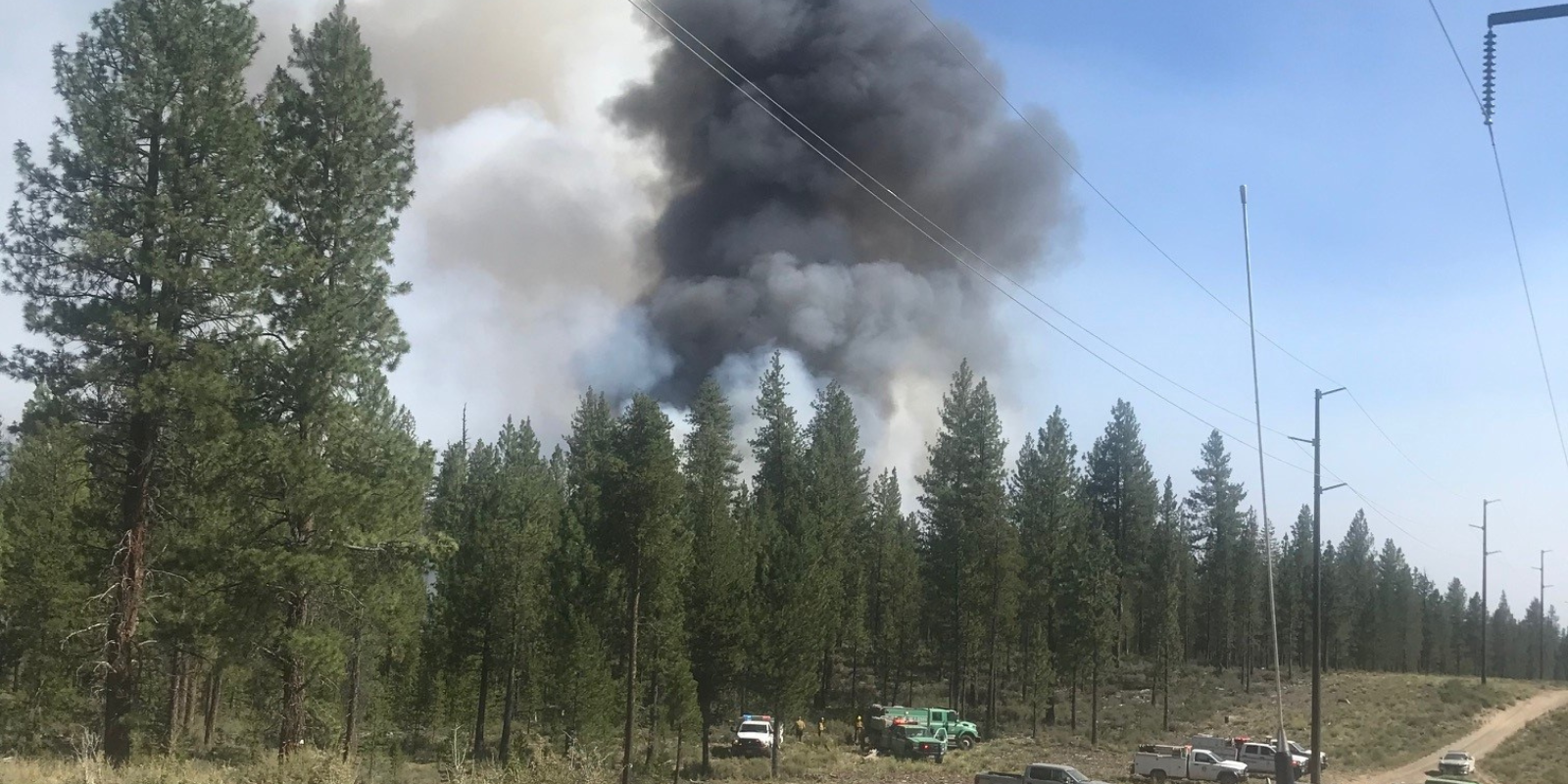 Wildfire