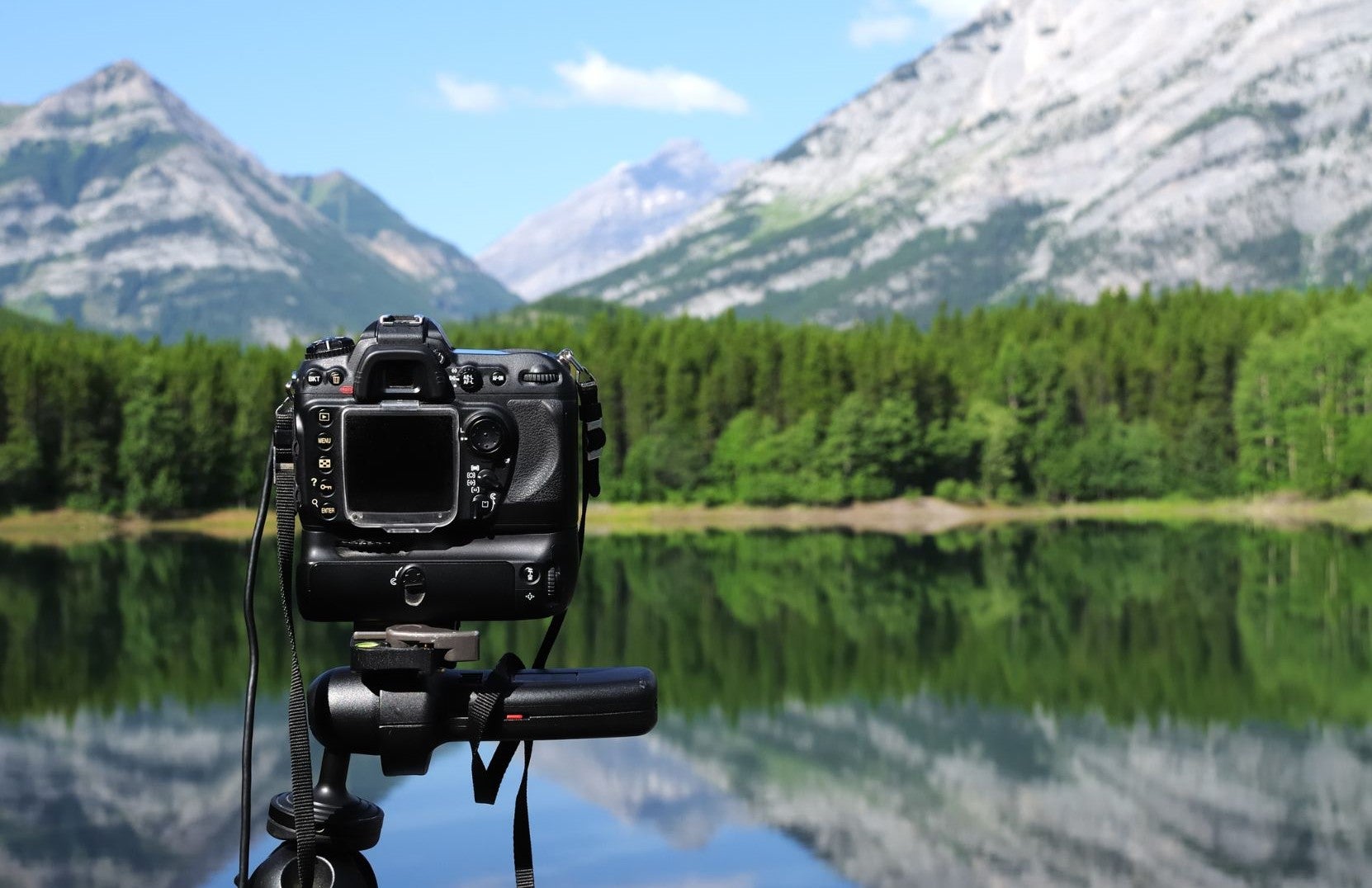 Photo Contest
