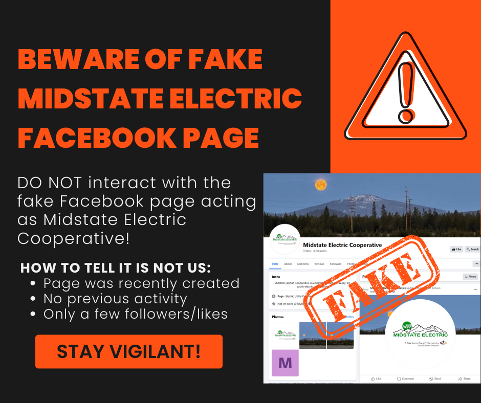 Fake Facebook Page